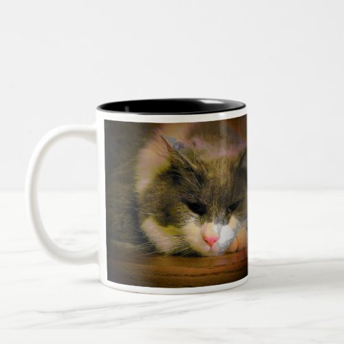 Should have stayed in bed Cat Meme Two_Tone Coffee Mug