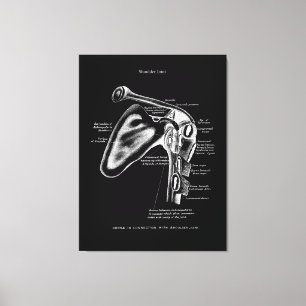 Shoulder Joint Anatomy Medical Wall Decor
