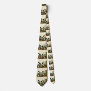 Shoveller Duck - from Audubon's Birds of America Neck Tie
