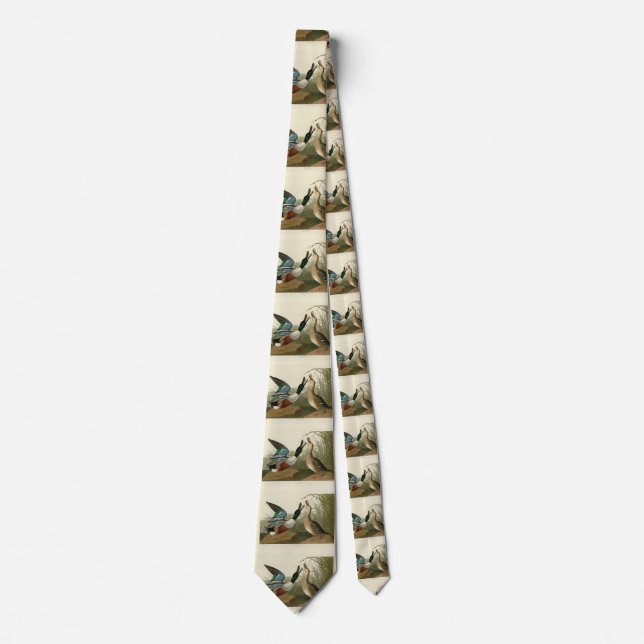 Shoveller Duck - from Audubon's Birds of America Neck Tie (Front)
