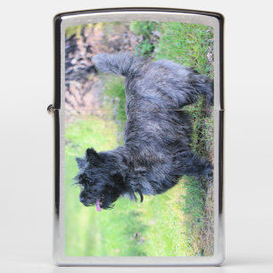 Show girl zippo lighter