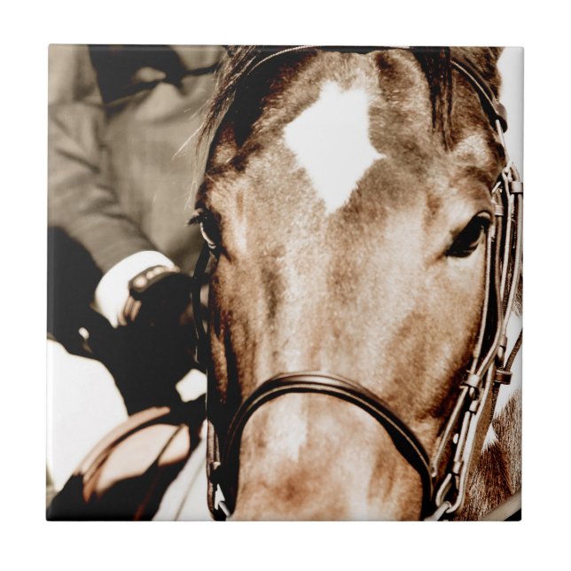 Show Horse Ceramic Tile (Front)