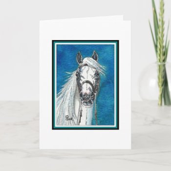 Show Horse Christmas Card by GailRagsdaleArt at Zazzle