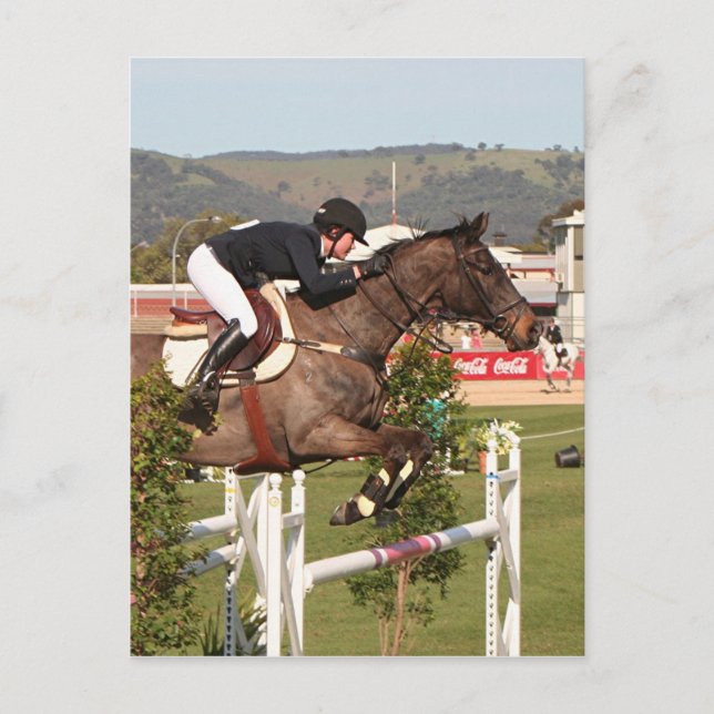 Show jumping horse and rider postcard (Front)