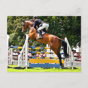 SHOW JUMPING POSTCARD