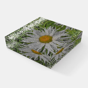 Show Me A Daisy #1 Paperweight