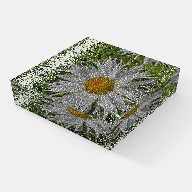 Show Me A Daisy #1 Paperweight (Angled)
