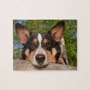 Cardigan Welsh Corgi Jigsaw Puzzle by JunkyDotCom