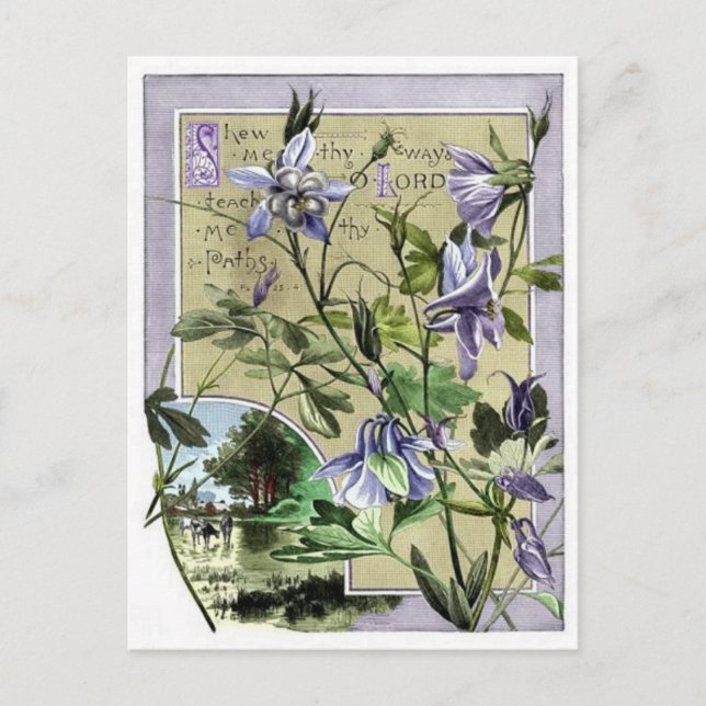 Show Me Thy Way Postcard (Front)