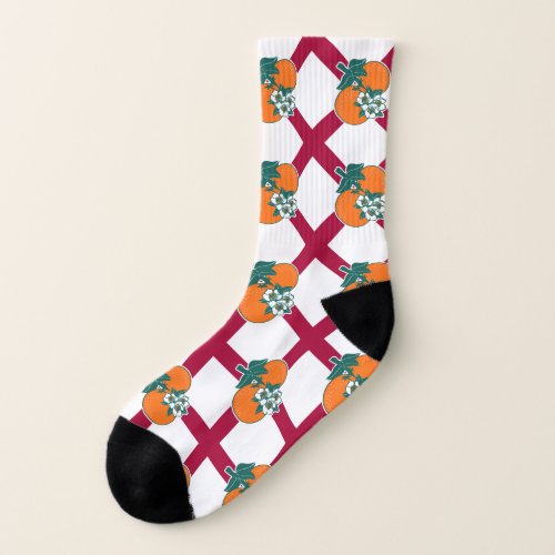 Show off your colors _ Florida Socks