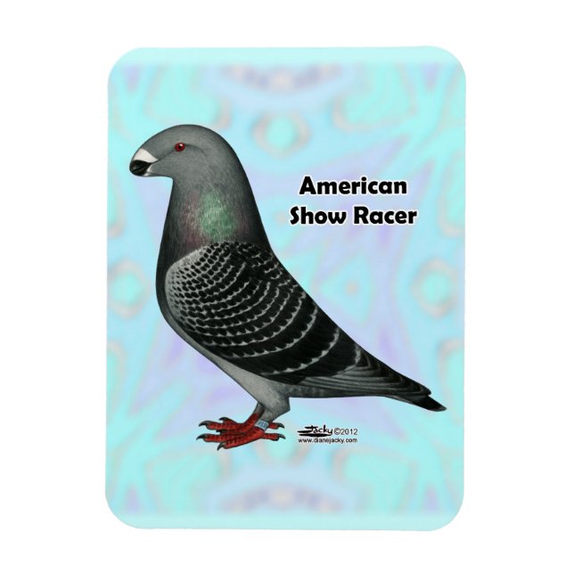 Show Racer ASR Magnet (Vertical)