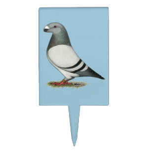 Show Racer Blue Bar Pigeon Cake Topper