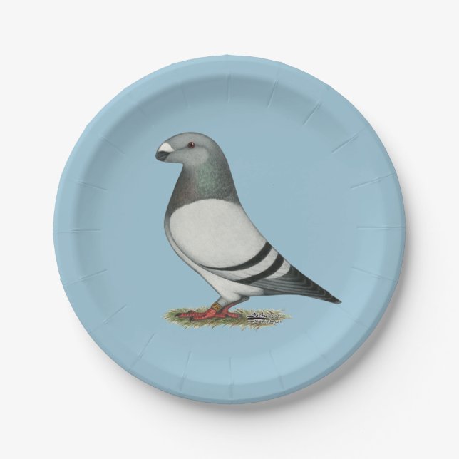 Show Racer Blue Bar Pigeon Paper Plates (Front)