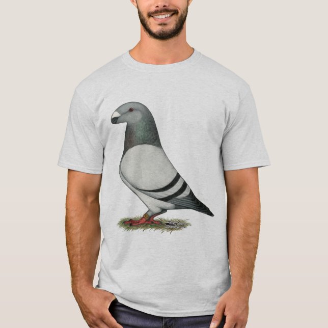 Show Racer Blue Bar Pigeon T-Shirt (Front)