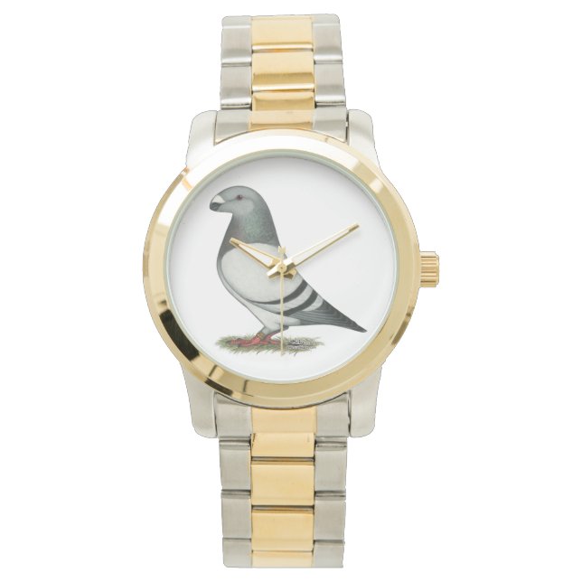 Show Racer Blue Bar Pigeon Watch (Front)