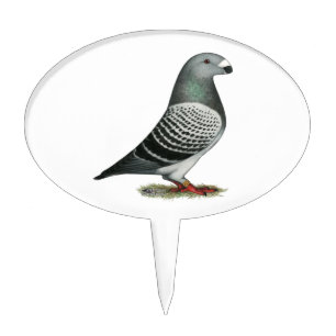 Show Racer Blue Checker Pigeon Cake Topper