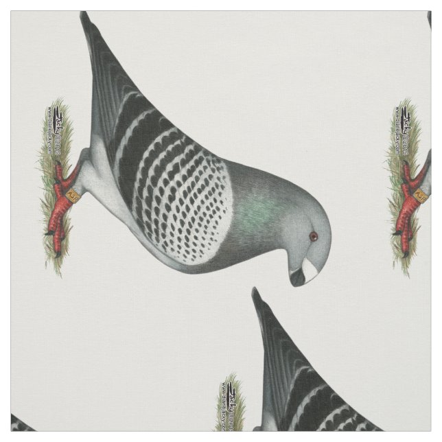 Show Racer Blue Checker Pigeon Fabric (Swatch)