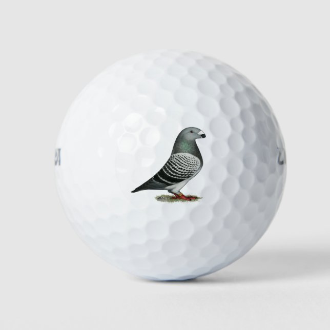 Show Racer Blue Checker Pigeon Golf Balls (Front)