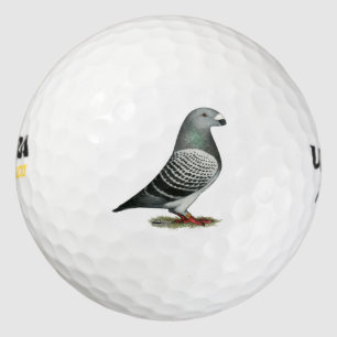 Show Racer Blue Checker Pigeon Golf Balls