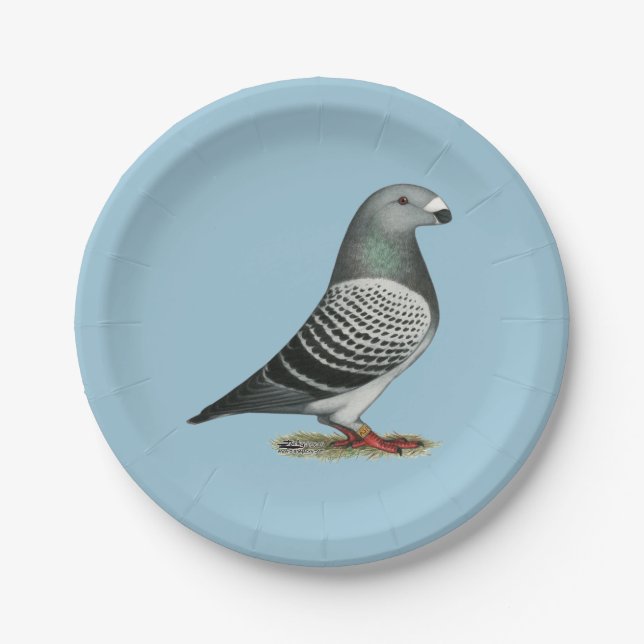 Show Racer Blue Checker Pigeon Paper Plates (Front)