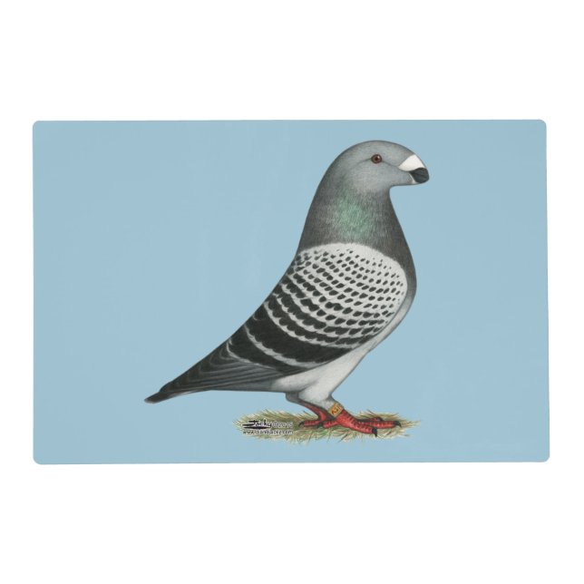 Show Racer Blue Checker Pigeon Placemat (Front)