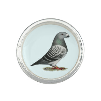 Show Racer Blue Checker Pigeon Ring