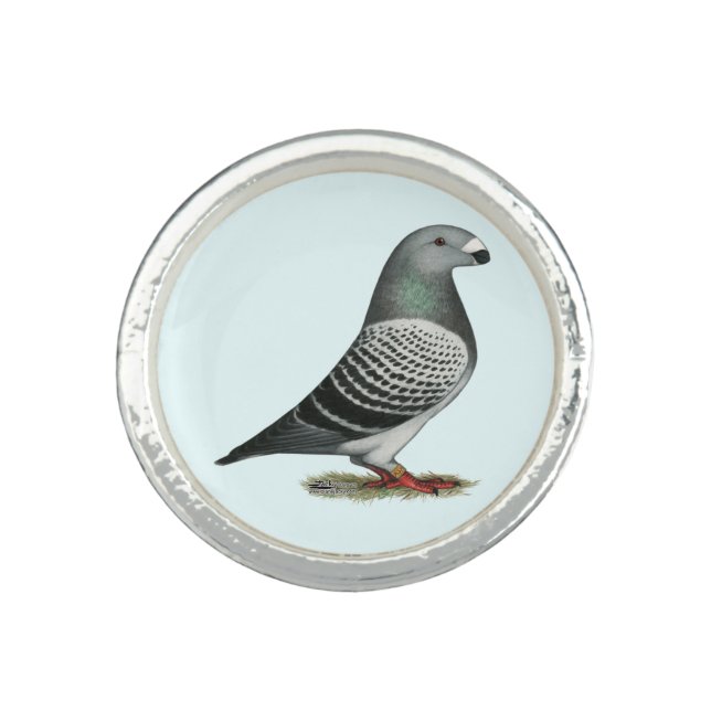 Show Racer Blue Checker Pigeon Ring (Front)