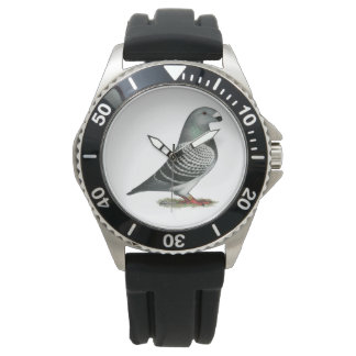 Show Racer Blue Checker Pigeon Watch
