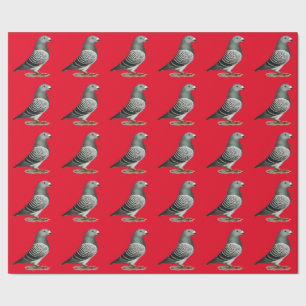 Show Racer Blue Checker Pigeon Wrapping Paper