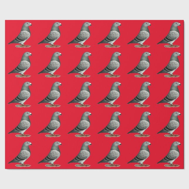Show Racer Blue Checker Pigeon Wrapping Paper (Seam)