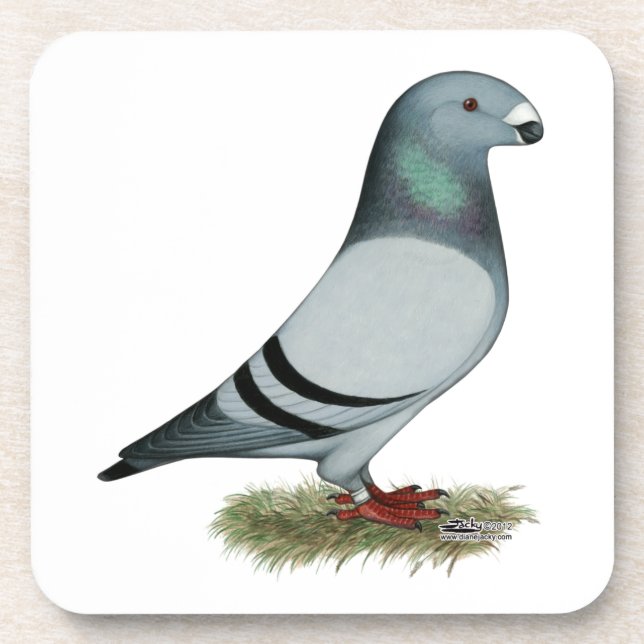 Show Racer Concept Drink Coaster (Front)