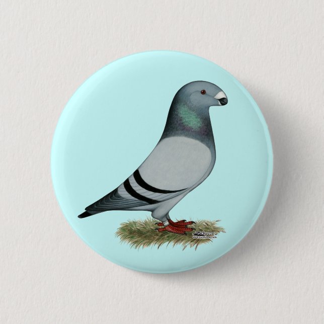 Show Racer Concept Pinback Button (Front)