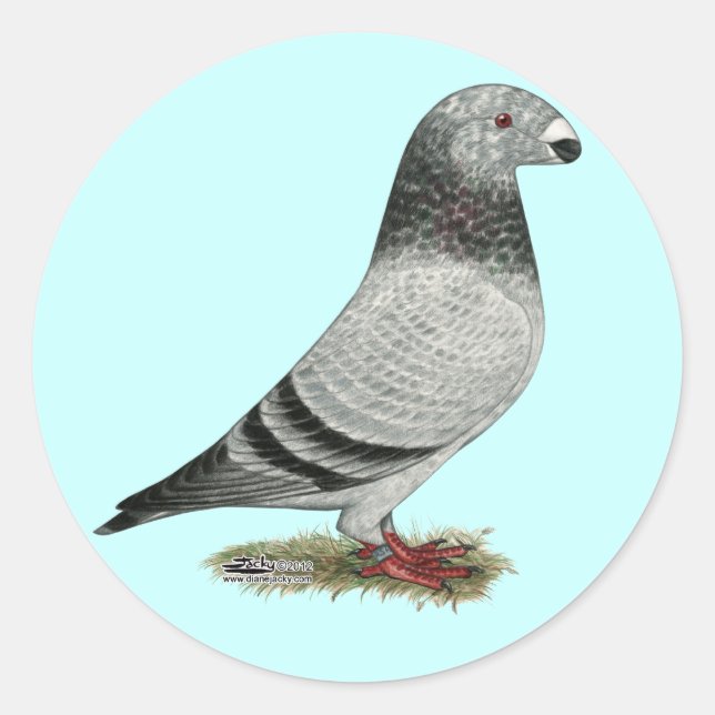 Show Racer Grizzle Classic Round Sticker (Front)