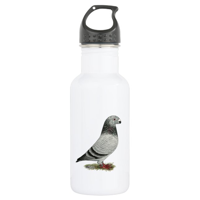 Show Racer Grizzle Water Bottle (Front)