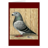 Show Racer Medium Checker (Front)