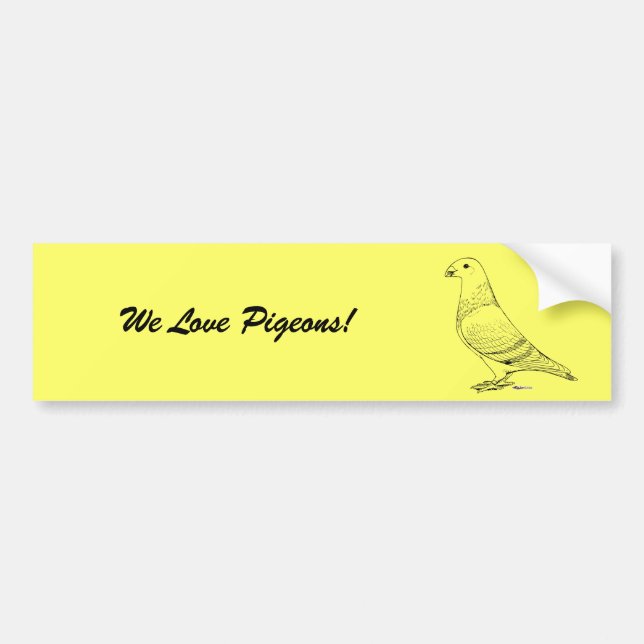 Show Racer Outline Bumper Sticker (Front)