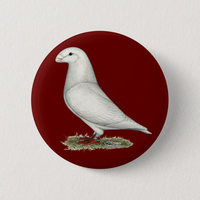 Show Racer White Pinback Button (Front)