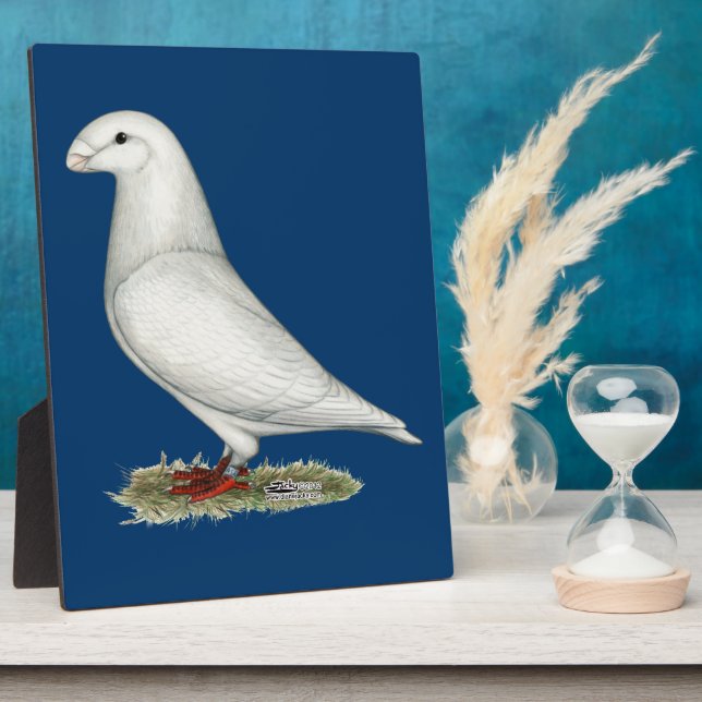 Show Racer White Plaque (Side)