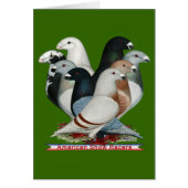 Show Racers Eight (Front)