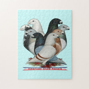 Show Racers Eight Jigsaw Puzzle