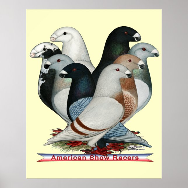 Show Racers Eight Poster (Front)