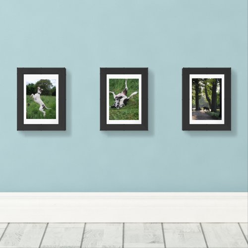 Show up your best Great Dane Pictures Wall Art Sets