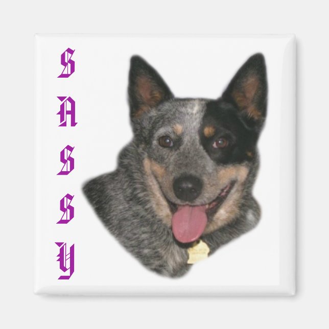 Show your pride magnet (Front)