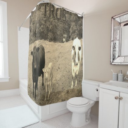 Shower curtain cows