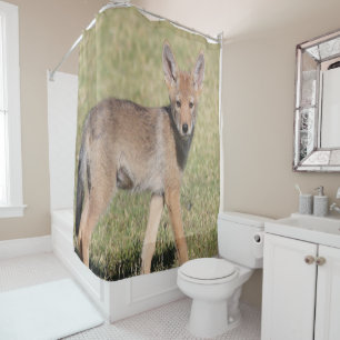 Shower Curtain Coyote