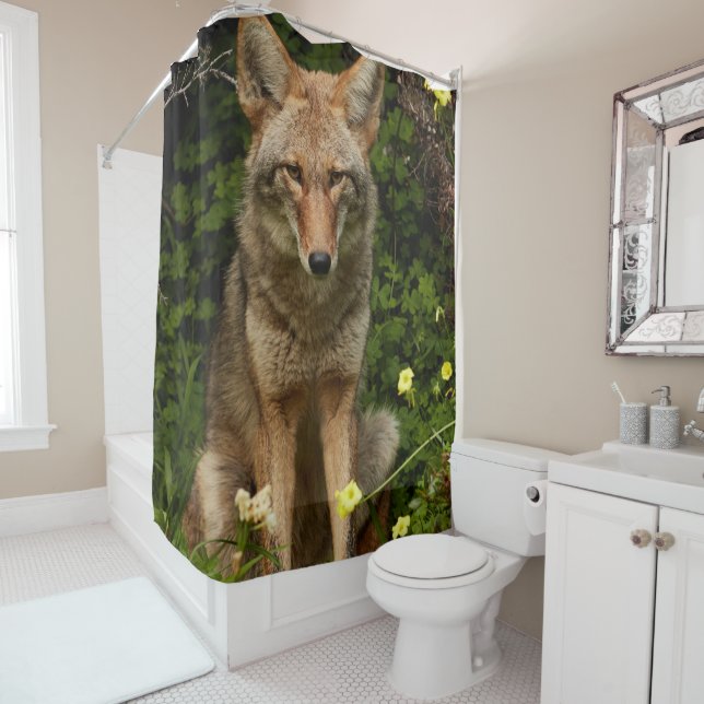 Shower Curtain Coyote (In Situ)