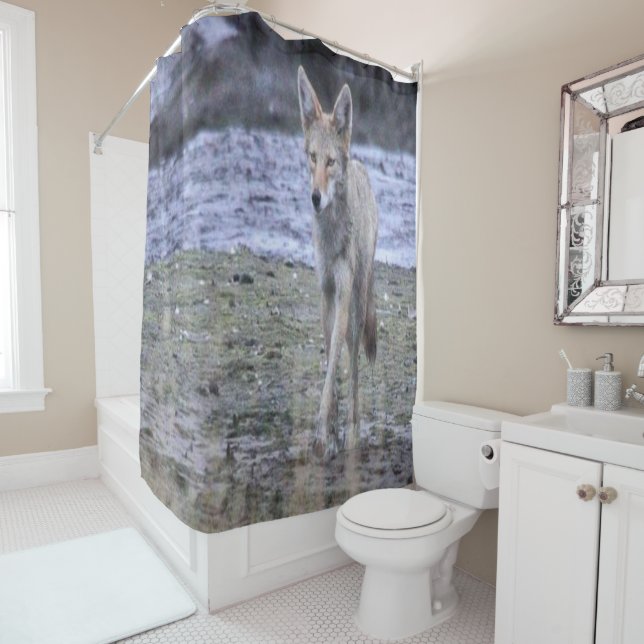 Shower Curtain Coyote (In Situ)