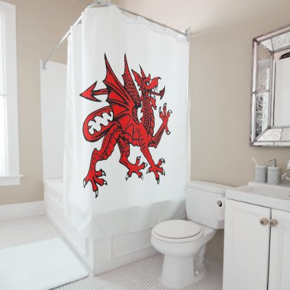 Shower curtain Dragon