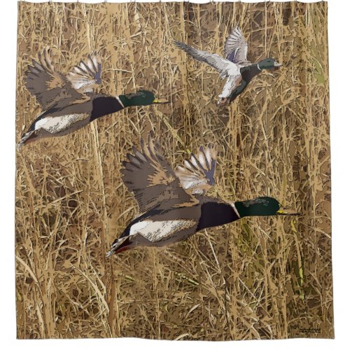 Shower Curtain Mallard Ducks Flying Over Marsh