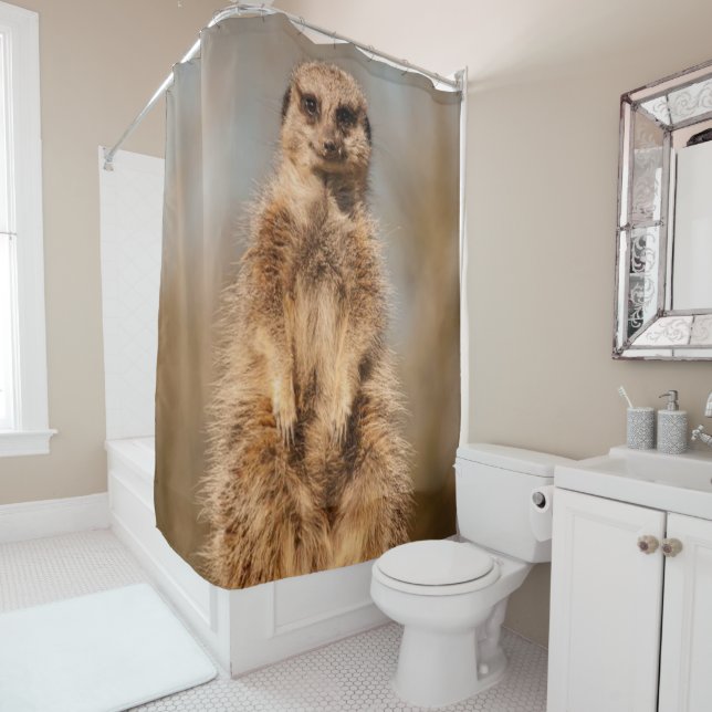 Shower Curtain Meerkat (In Situ)